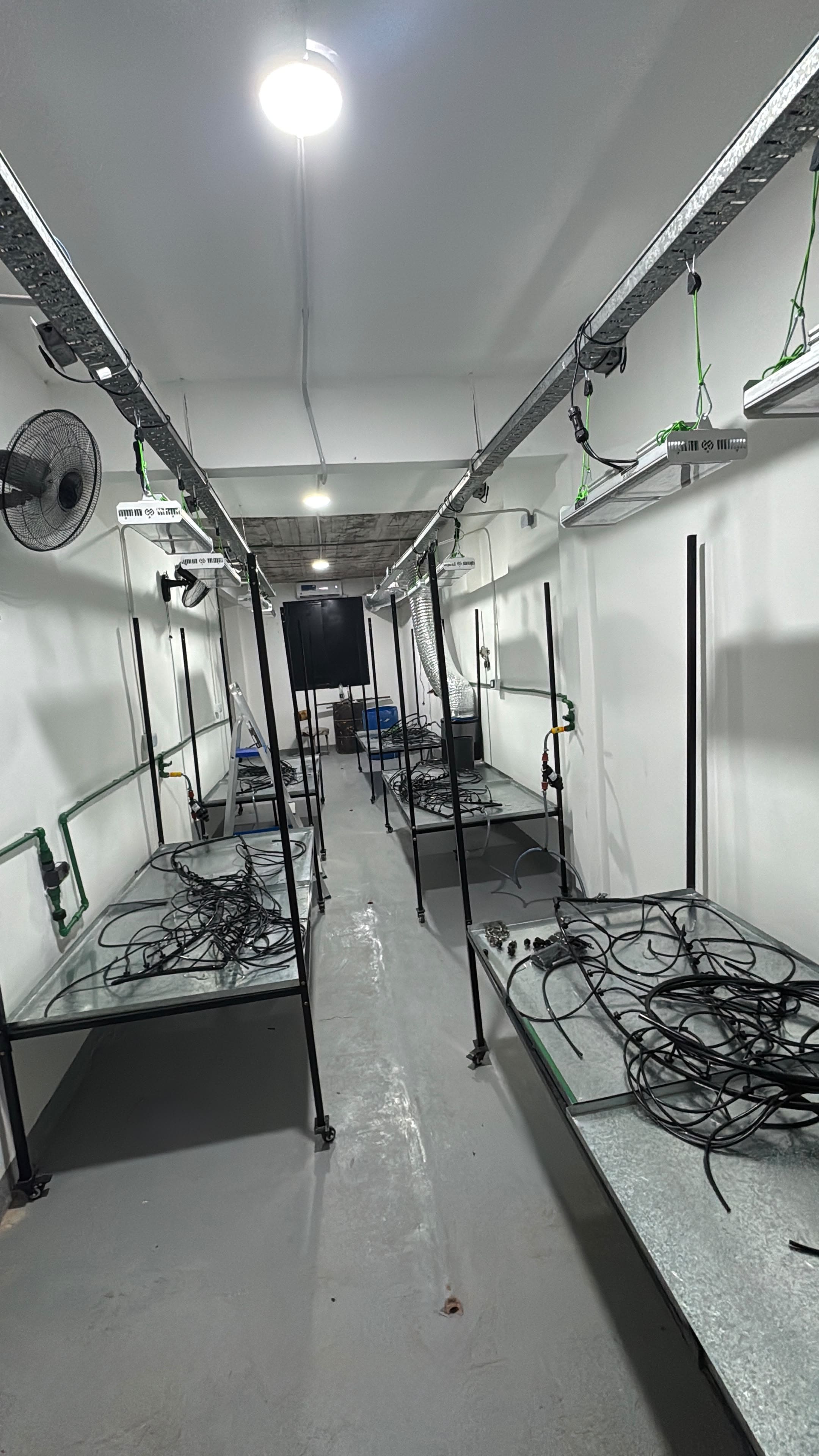 Sala de procesamiento Golden Green